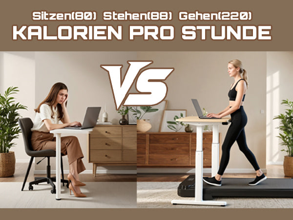 Fitvect Laufband Walkingmatte C1