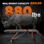 Hantelbank mit Nashorn-Grafik und dem Schriftzug „880 lbs“ auf dunklem Hintergrund